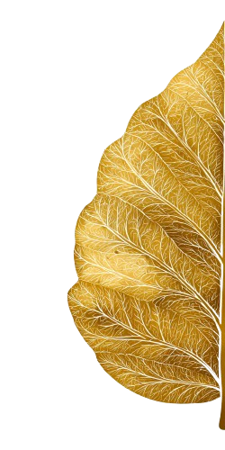 half leaf