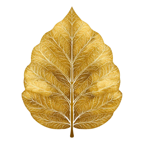 leaf